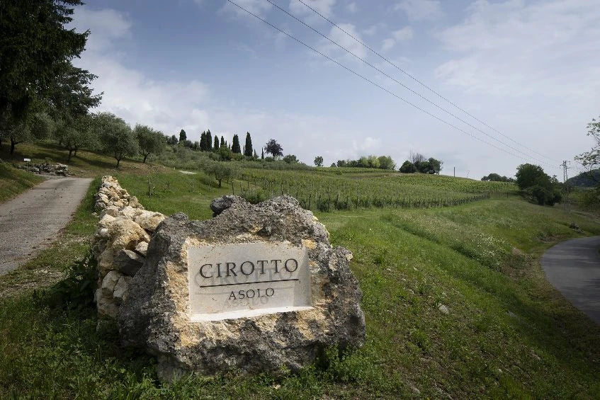 Sogno Manzoni bianco metodo classico riserva 2016 dosaggio zero  -  Cirotto - vaigustando