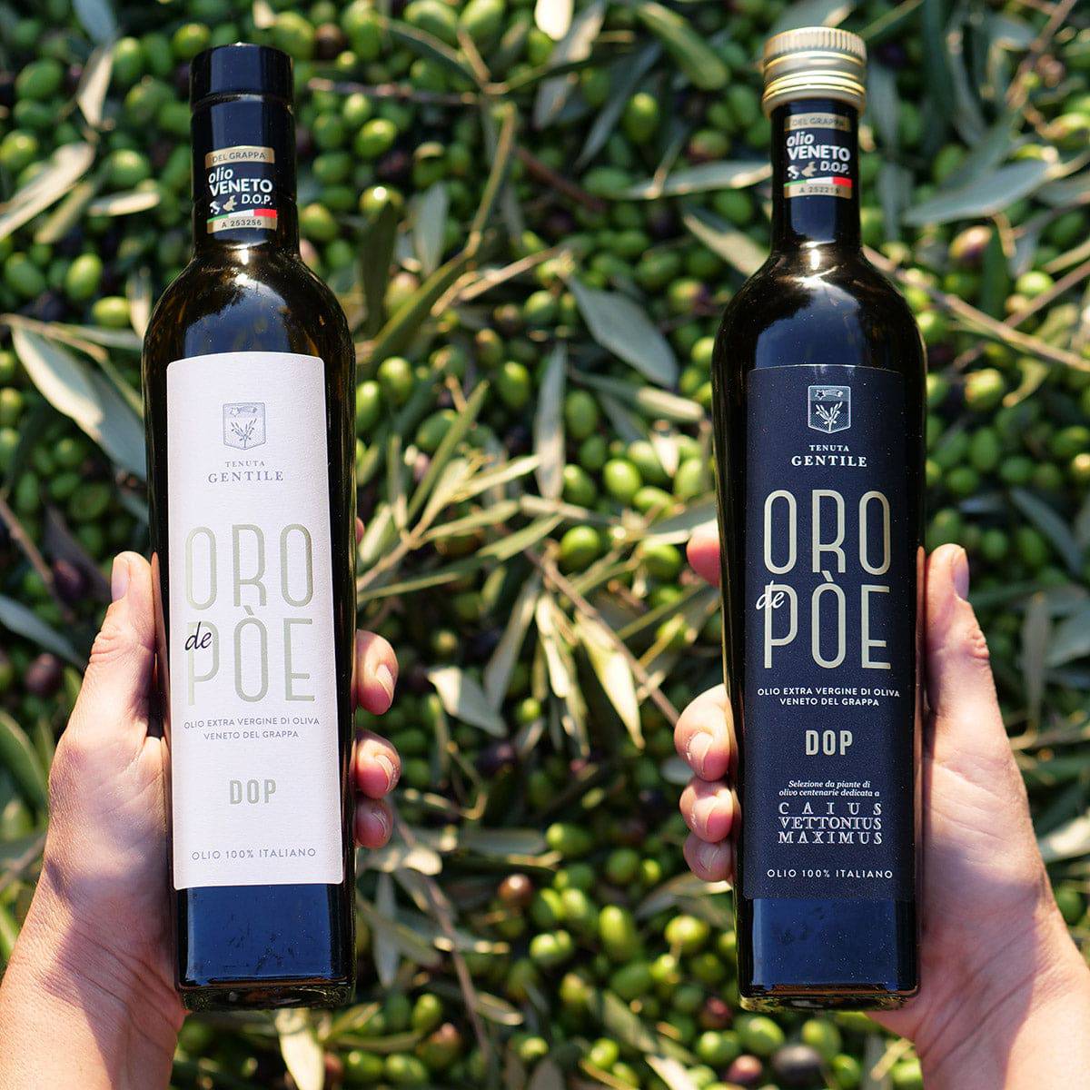 Olio Extravergine Veneto del Grappa DOP Presidio Slow Food 500ml Edizione Limitata - vaigustando