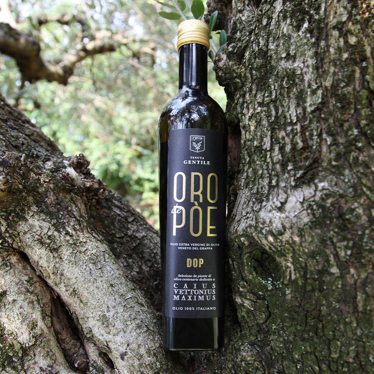 Olio Extravergine Veneto del Grappa DOP Presidio Slow Food 500ml Edizione Limitata - vaigustando