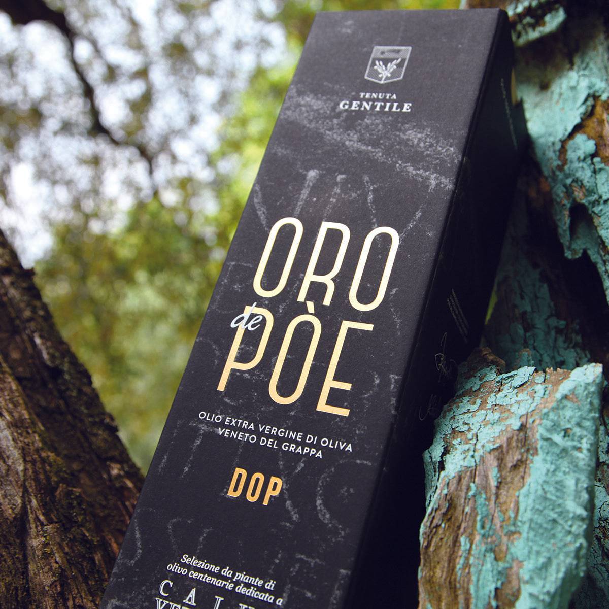 Olio Extravergine Veneto del Grappa DOP Presidio Slow Food 500ml Edizione Limitata - vaigustando