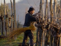 Rabbiosa Vecchio Vitigno Schaumwein, natürliche Gärung in der Flasche