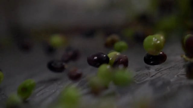 Natives Olivenöl extra Venetien Monte Grappa DOP 500ml