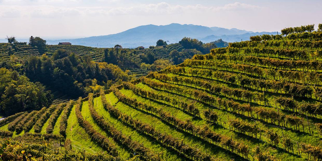 Le colline di Valdobbiadene