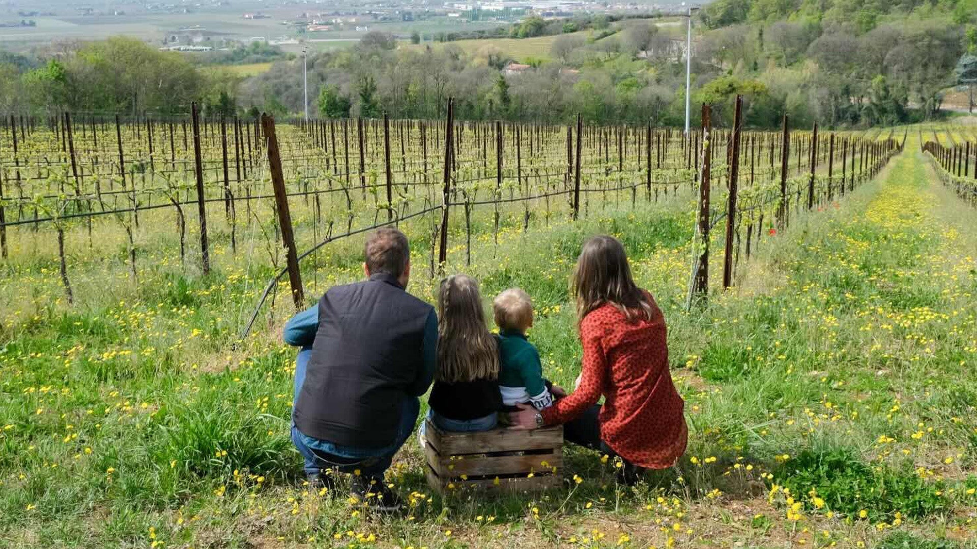 Redalmo: Vini tra Colli Berici e Val d’Alpone