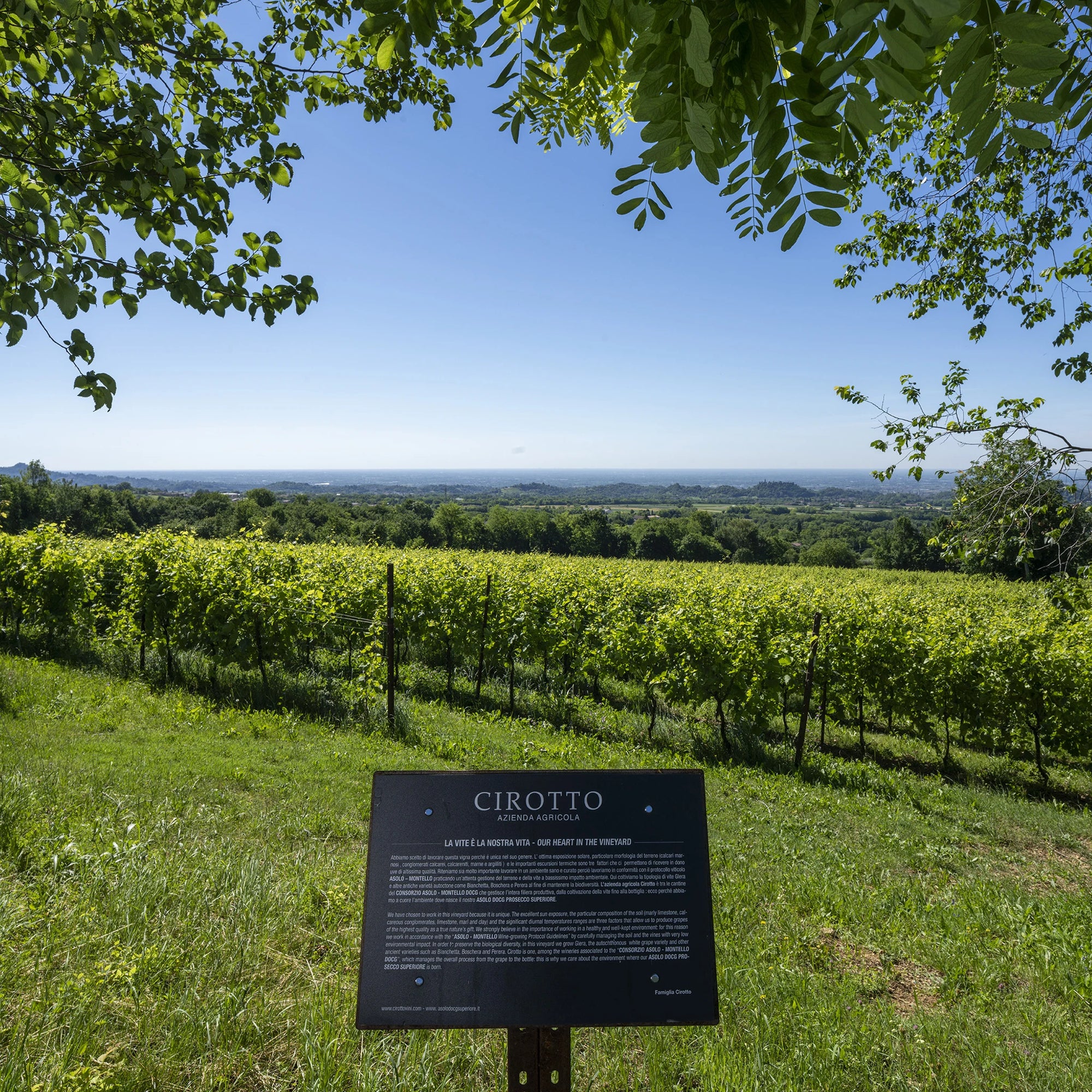 Asolo Prosecco Superiore DOCG Millesimato extra Dry  -  Cirotto - vaigustando