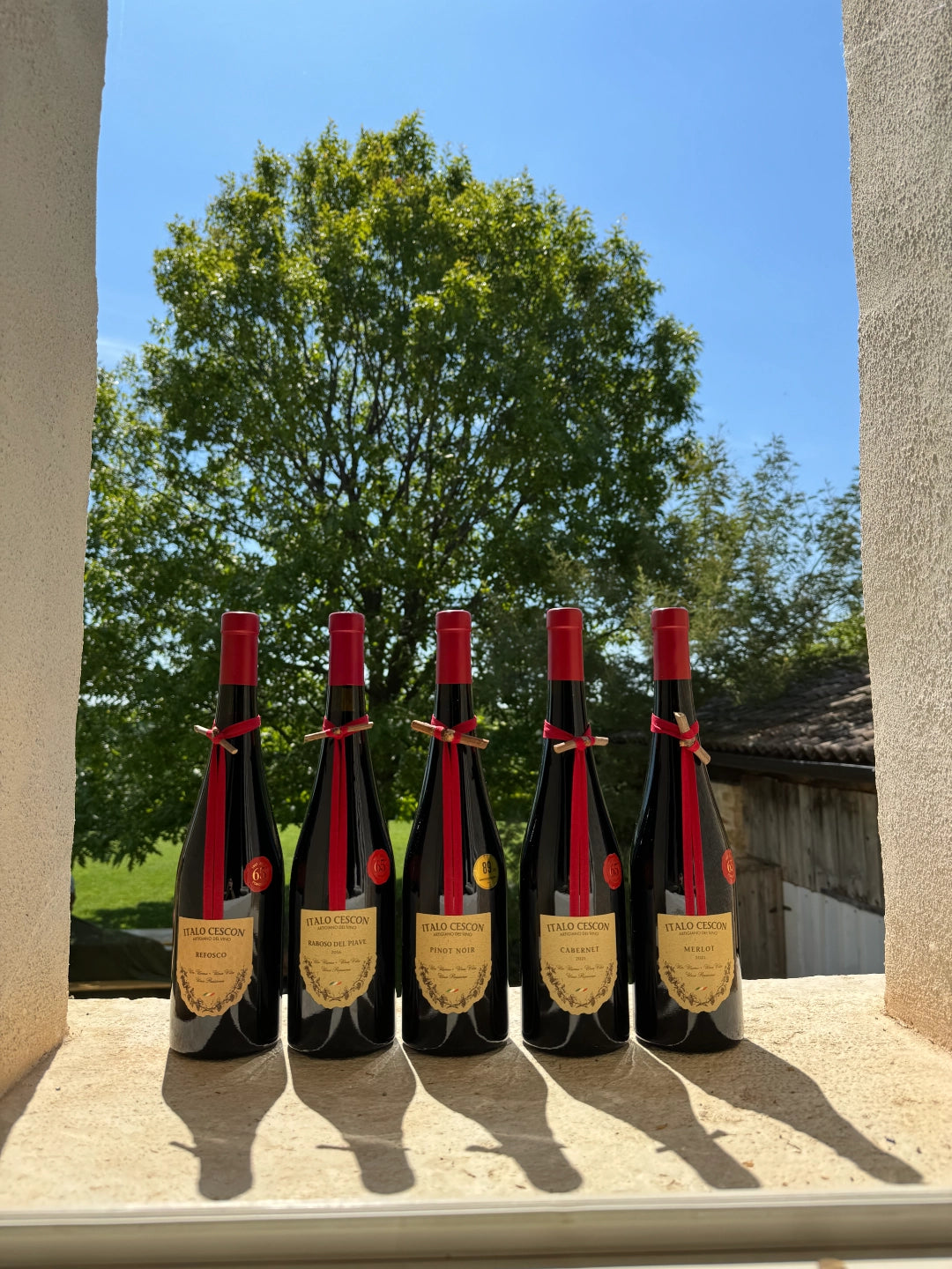 Merlot Veneto I.G.T.  -  Italo Cescon - vaigustando