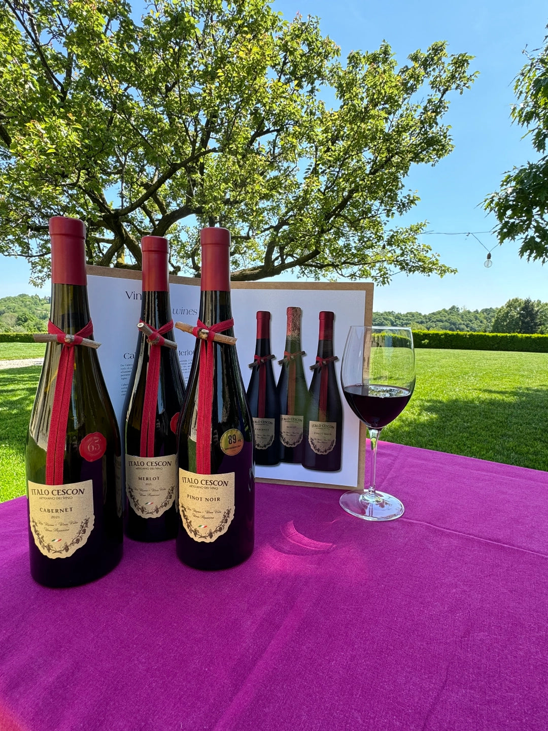Pinot nero Veneto I.G.T.  -  Italo Cescon - vaigustando