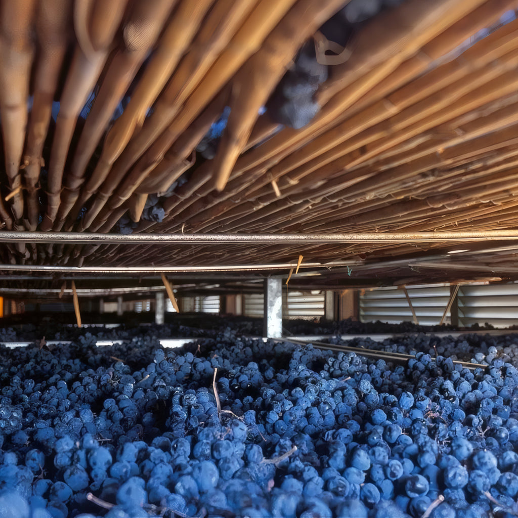 Valpolicella superiore Doc-Terra del Cereolo  -  Tenuta Trabucchi - vaigustando