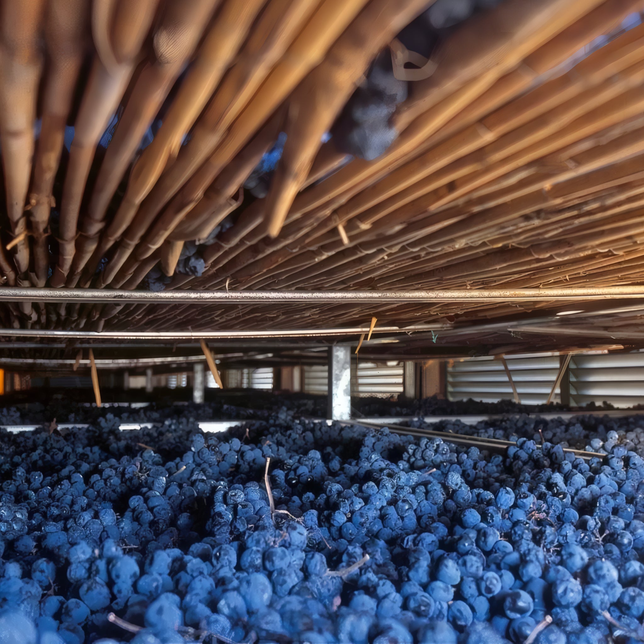 Valpolicella superiore Doc-Terra del Cereolo  -  Tenuta Trabucchi - vaigustando