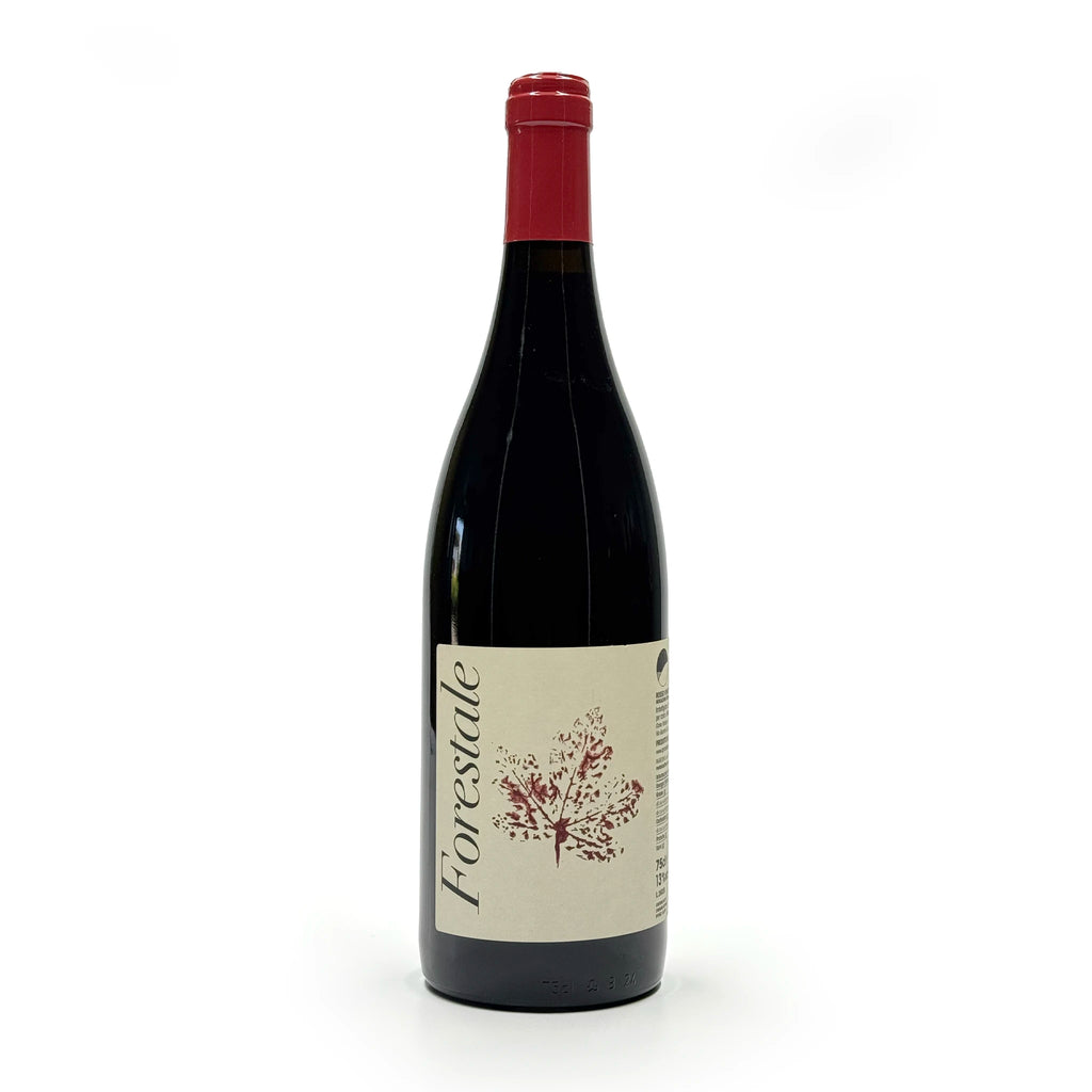 FORESTALE Rosso Veneto IGT  -  Agricola da Schio - vaigustando