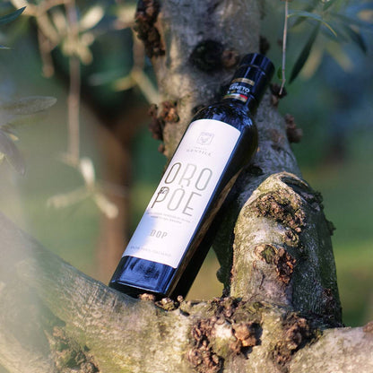 Olio Extravergine  Veneto del Grappa DOP 500ml - vaigustando