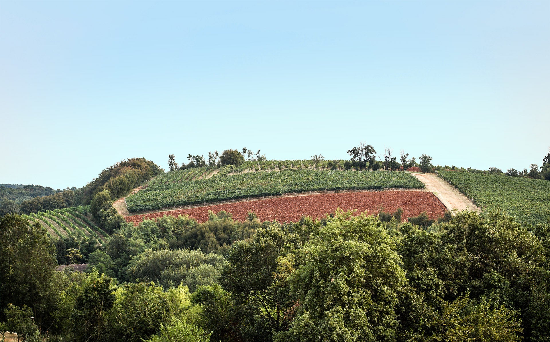 Metodo Classico  Dodici  -  Buvoli - vaigustando